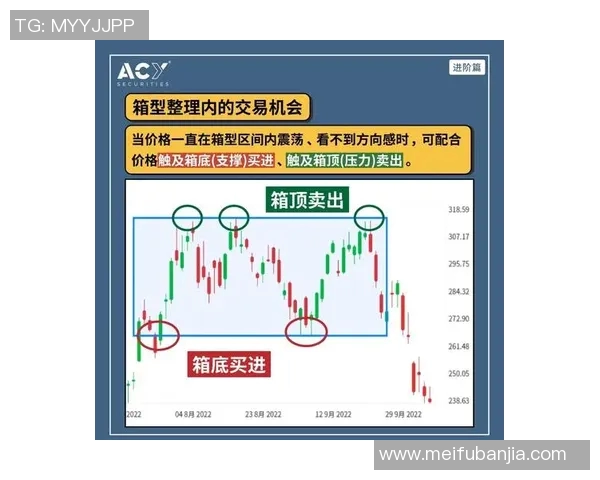 深入探讨vs数据库中的布尔类型及其应用场景与性能优化策略