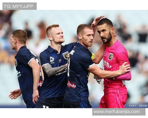 惠灵顿凤凰主场迎战中部海岸球队期待精彩对决与胜利之争