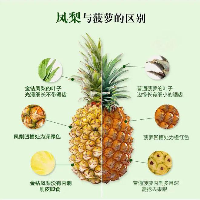 喜欢甜食的快抓紧吃！纯天然的宝贝吃过它们再吃不了其他。(图3)